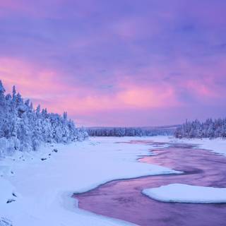 Blue and pink winter wallpaper