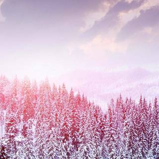 Blue and pink winter wallpaper