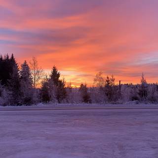 Winter sunrise 4k wallpaper