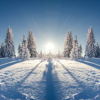 Winter sunrise 4k wallpaper