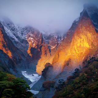 Japan winter forest wallpaper