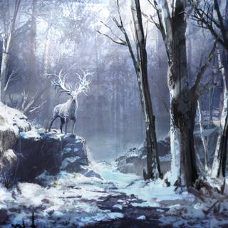 Japan winter forest wallpaper