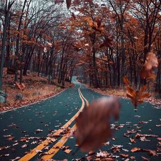 Vintage brown autumn wallpaper