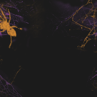 1280x800 Halloween aesthetic wallpaper