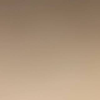Beige iPhone 14 Pro wallpaper