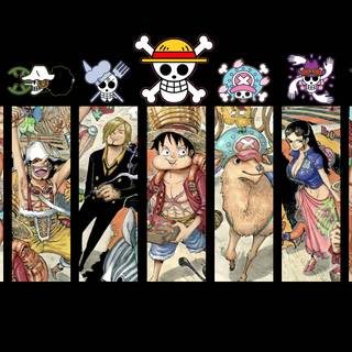 One Piece all crew wallpaper