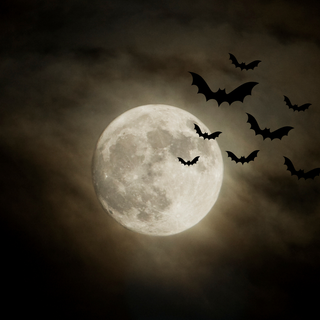 Aesthetic scary Halloween wallpaper