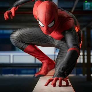 Spider-Man iPhone 12 wallpaper