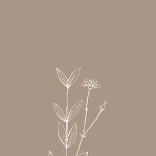 Minimal aesthetic phone wallpaper