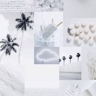 White aesthetic phone wallpaper