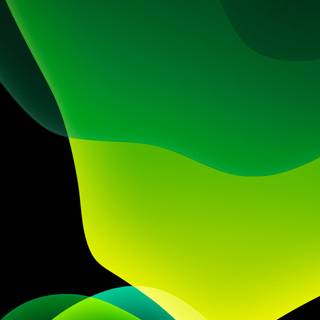 Green iPhone 12 wallpaper