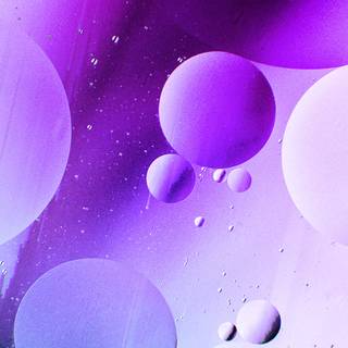 Purple iPhone 12 wallpaper