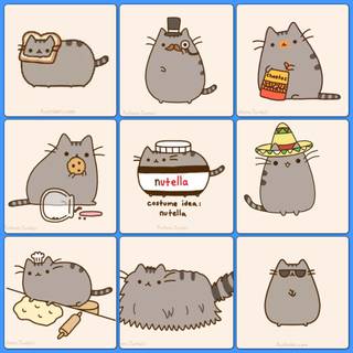 Nutella cat wallpaper