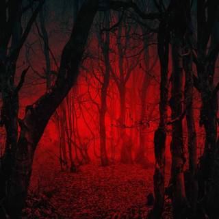 Mysterious scary wallpaper