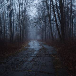 Mysterious scary wallpaper