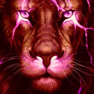 Pink lion wallpaper
