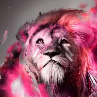 Pink lion wallpaper