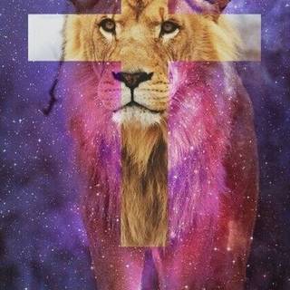 Pink lion wallpaper