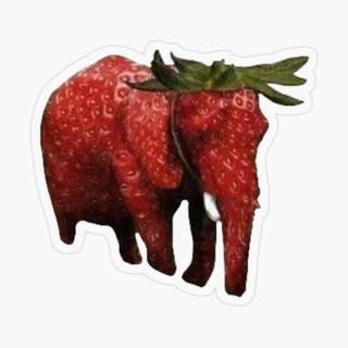 Strawberry elephant wallpaper