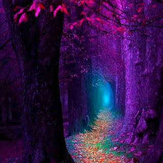 Purple fall wallpaper