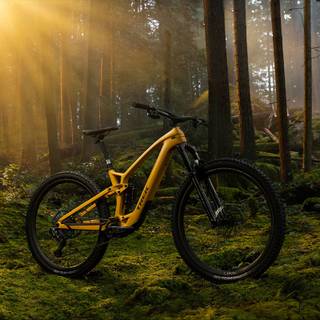 Trek MTB wallpaper