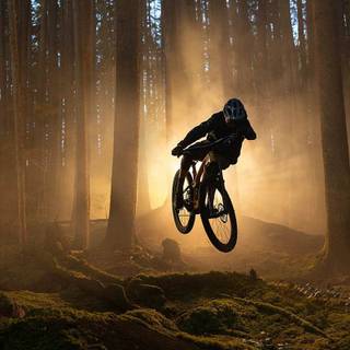 Trek MTB wallpaper