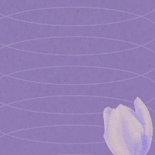 Purple fall wallpaper