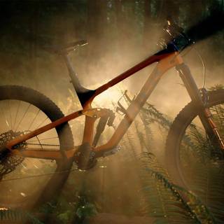 Trek MTB wallpaper
