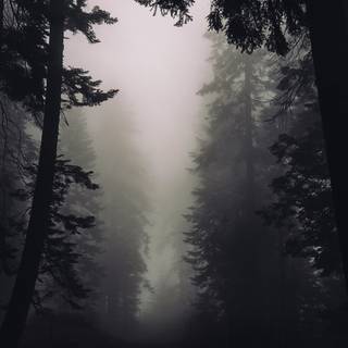 Goth laptop wallpaper