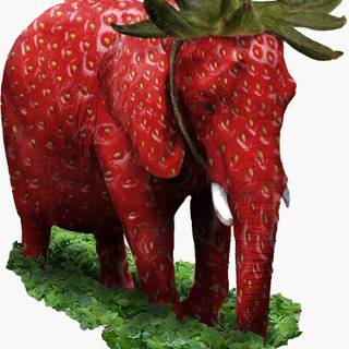 Strawberry elephant wallpaper
