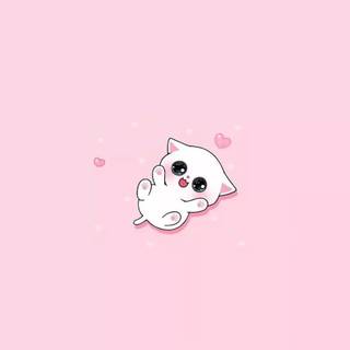 Cute cat PFP wallpaper