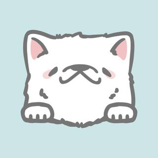 Cute cat PFP wallpaper