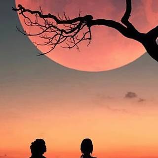 4k romantic iPhone wallpaper