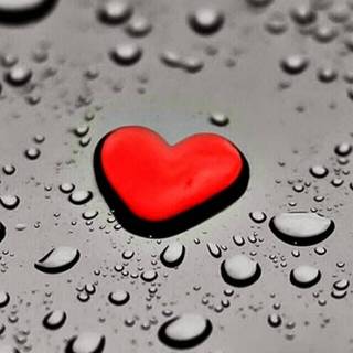 4k romantic iPhone wallpaper