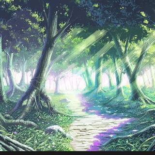 Anime HD forest wallpaper