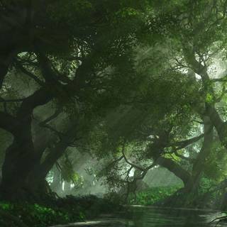 Anime HD forest wallpaper