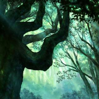 Anime HD forest wallpaper