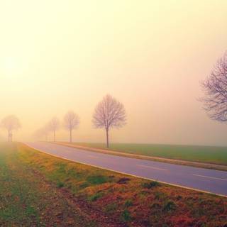 Quiet and peaceful wallpaper