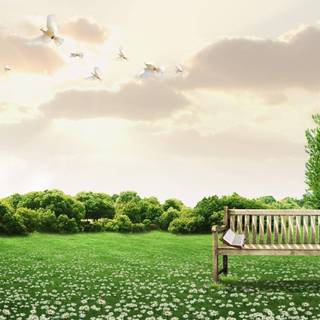 Quiet and peaceful wallpaper