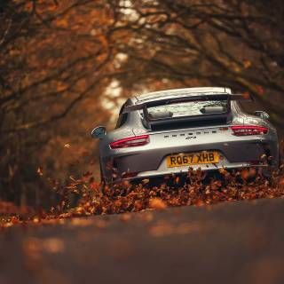 Porshe autumn leaves wallpaper