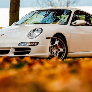 Porshe autumn leaves wallpaper