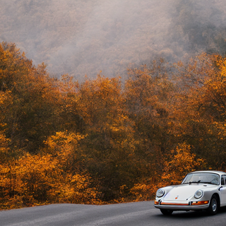 Porshe autumn leaves wallpaper