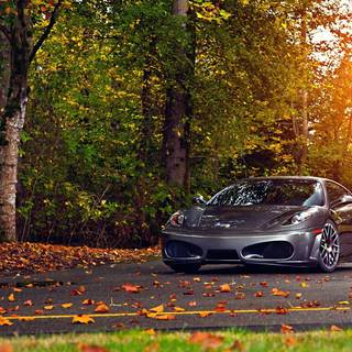 Porshe autumn leaves wallpaper