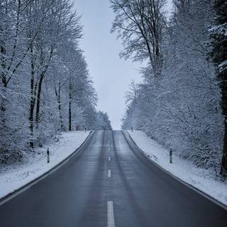 Winter road trees wallpaper