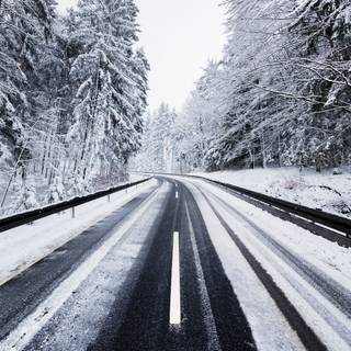 Winter road trees wallpaper