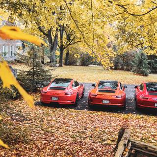 Porshe autumn leaves wallpaper