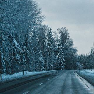 Winter road trees wallpaper
