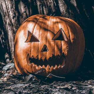 Fall and Halloween 4k wallpaper