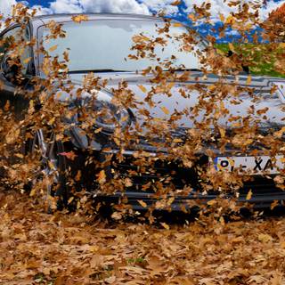 Porshe autumn leaves wallpaper