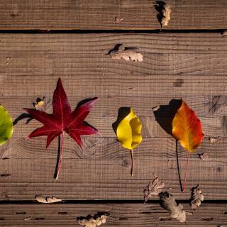 Rustic fall wallpaper